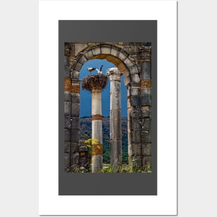 Morocco. Volubilis. Storks in the nest. Posters and Art